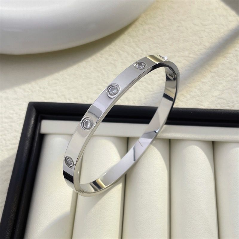 Titanium Steel Women's Men's bangle